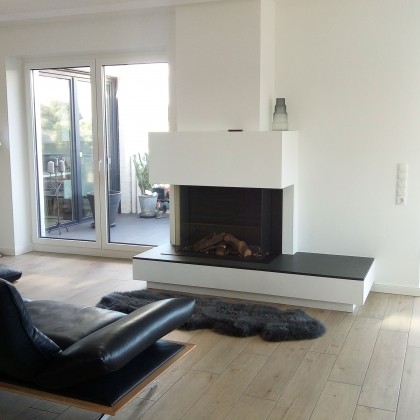 Brunner Gaskamin Bremen